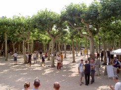 Platanenhain Sommer 2004